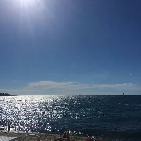 Salvia 4 Stars * Poreč